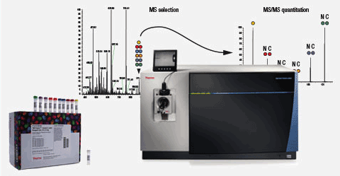 thermo-fisher-scientific-recognizes-tandem-mass-tag