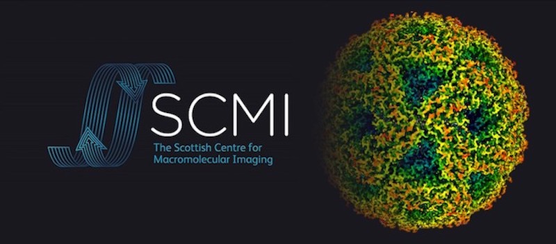 cuttingedge-cryoem-reveals-key-insight-into-vital-dna