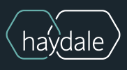 Haydale市