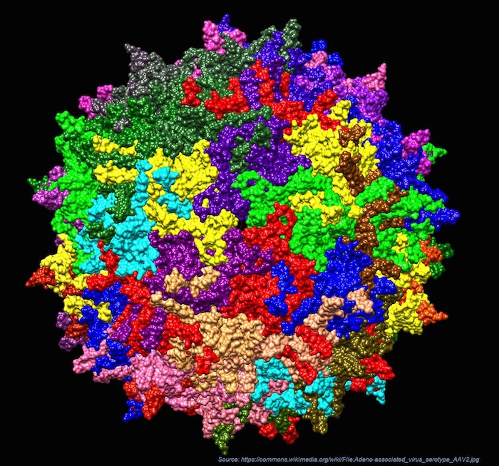 quantifying-adenoassociated-virus-aggregation